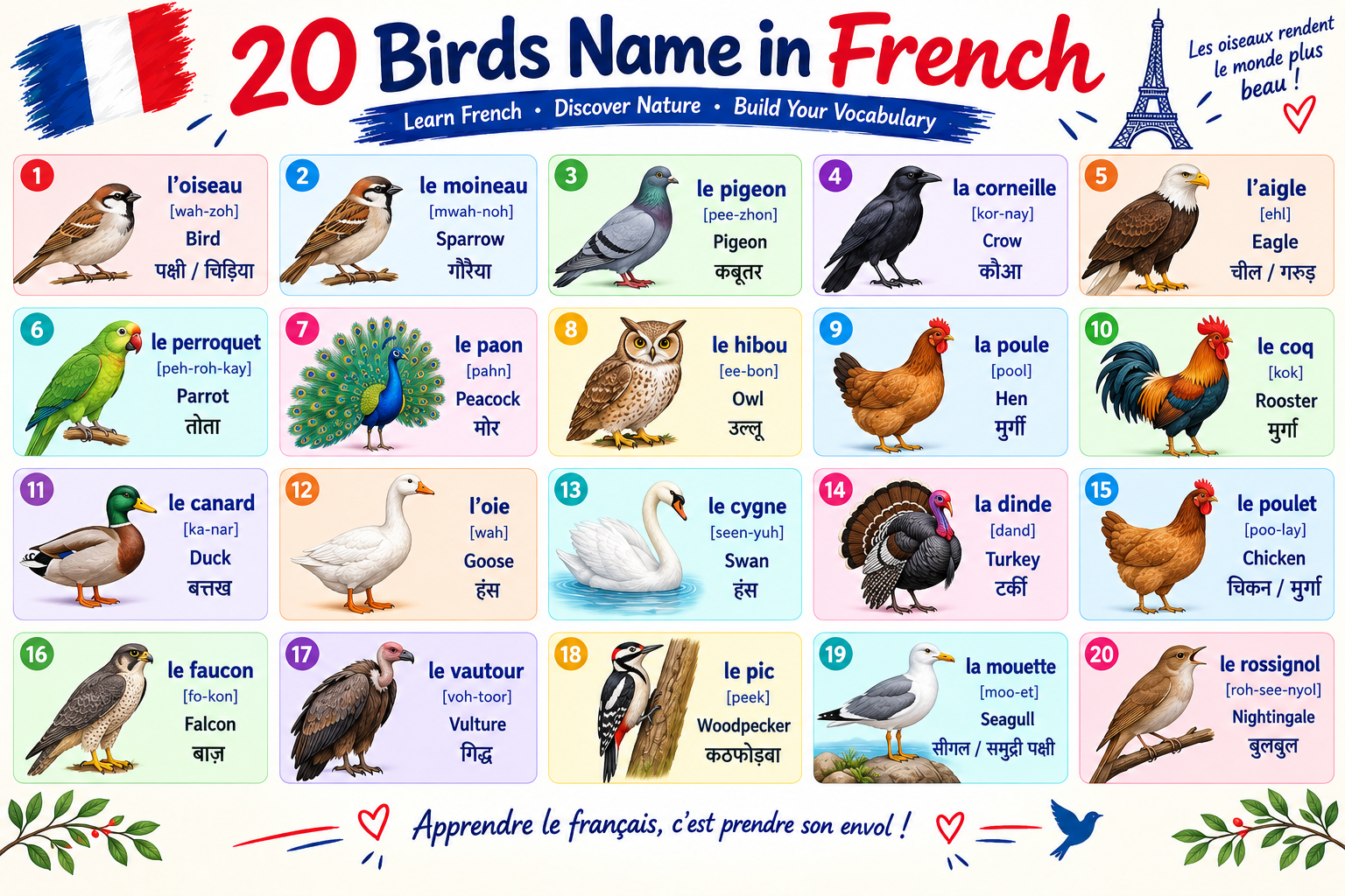 birds name in french