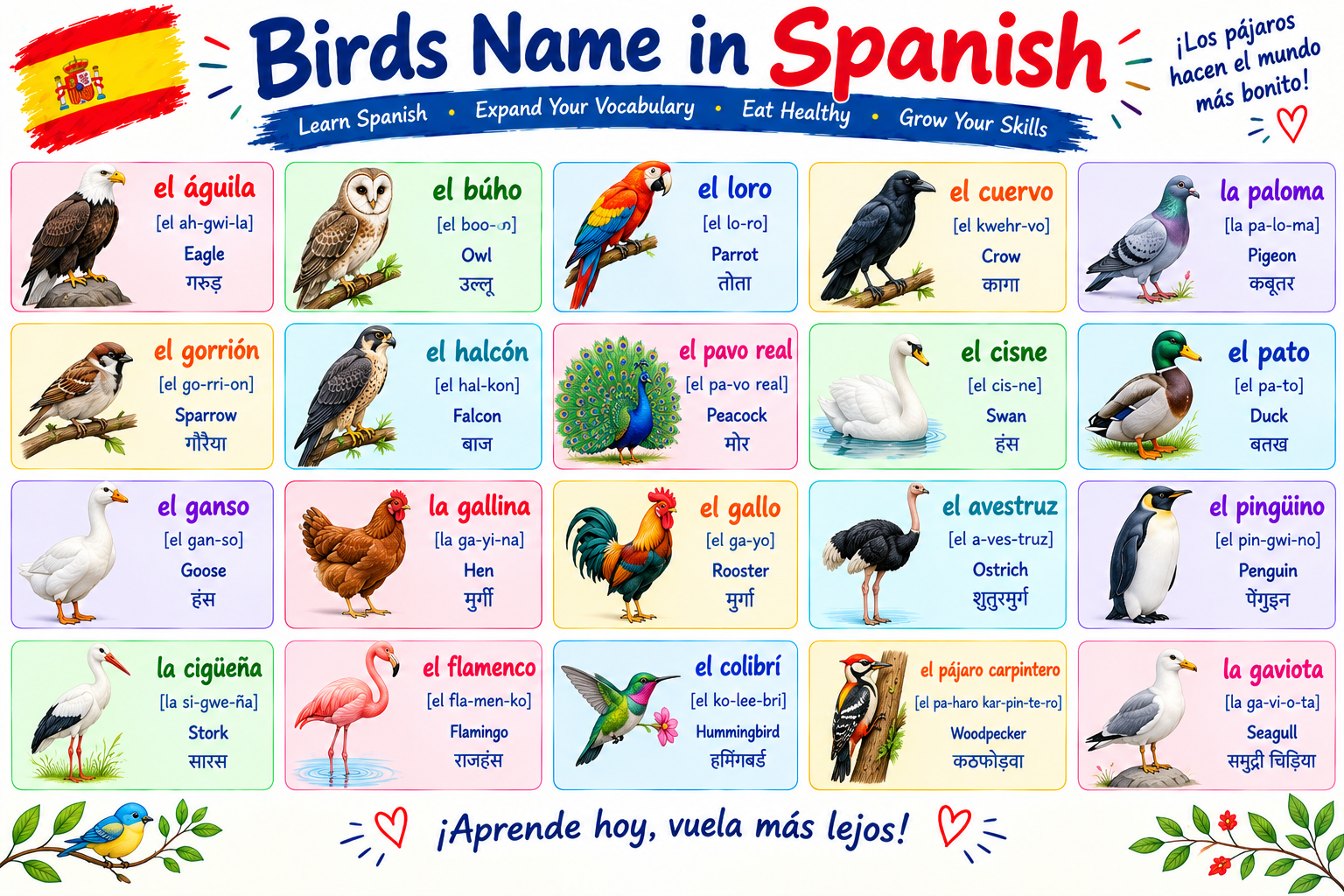 Birds Name in Spanish