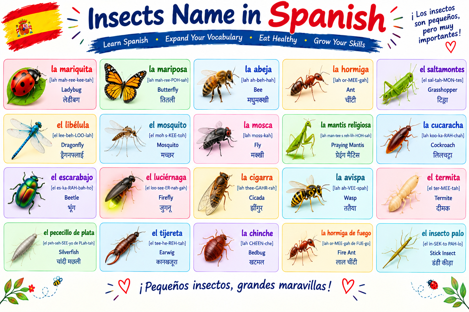 insects name in spanish