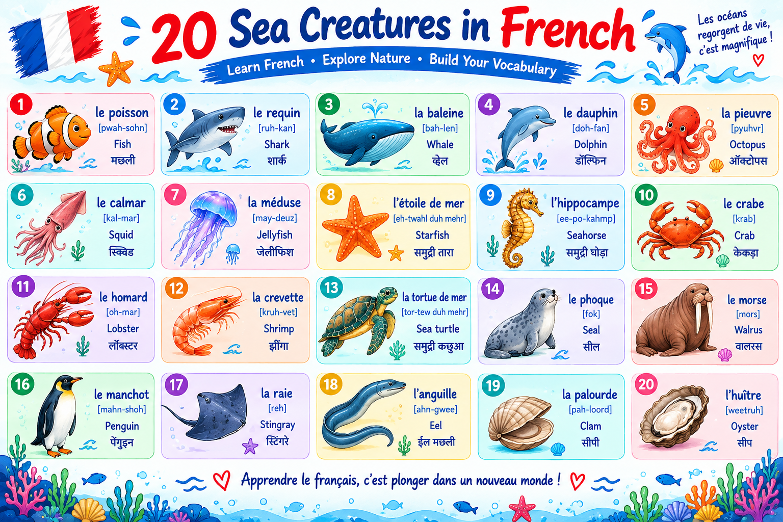 20 Sea Creatures in French
