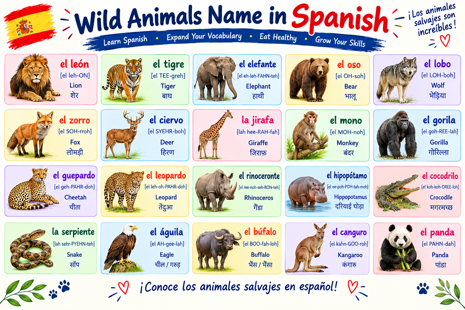 Wild animals in spanish