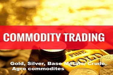 commodity analysis course delhi